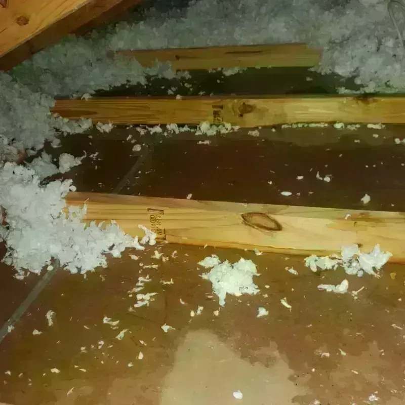 Attic Water Damage in Chadron, NE