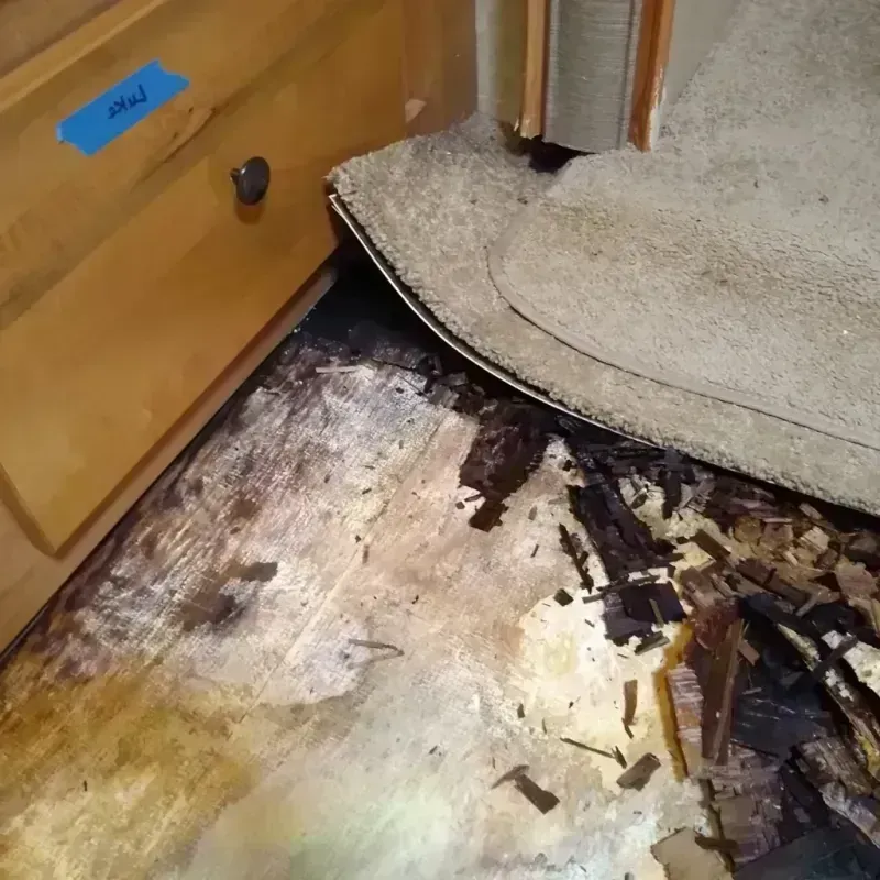 Best Wood Floor Water Damage Service in Chadron, NE